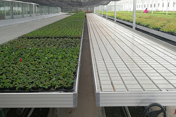 無(wú)土栽培，無(wú)土栽培技術(shù)，無(wú)土栽培設(shè)備