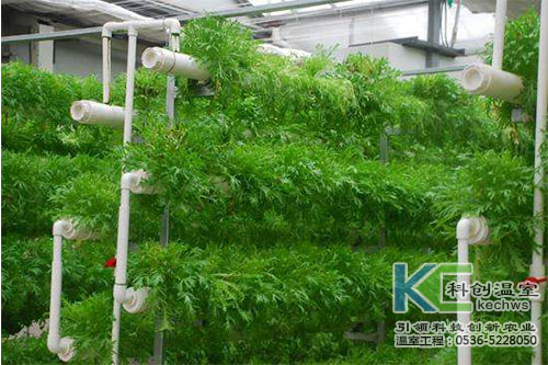 無土栽培，無土栽培技術，無土栽培設備