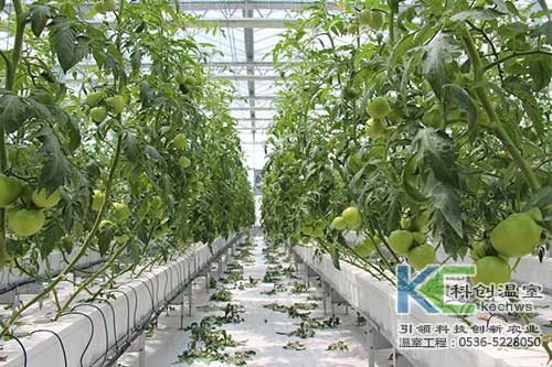 無土栽培，無土栽培技術，無土栽培設備