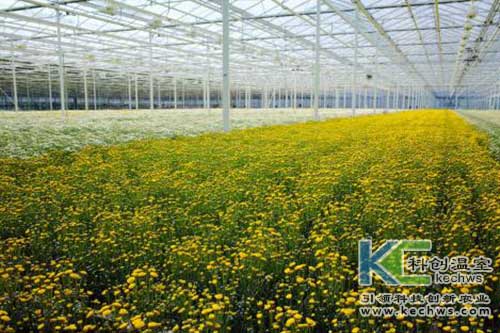 無土栽培，無土栽培技術(shù)，無土栽培設(shè)備