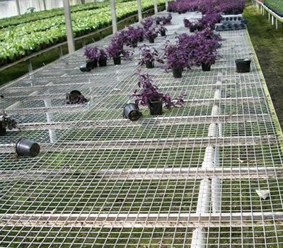 無(wú)土栽培，無(wú)土栽培技術(shù)，無(wú)土栽培設(shè)備