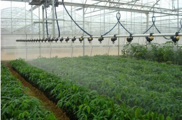 無(wú)土栽培，無(wú)土栽培技術(shù)，無(wú)土栽培設(shè)備