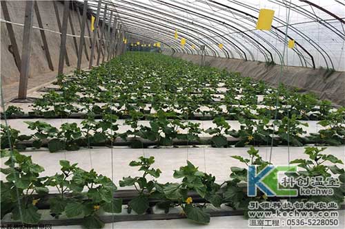 無(wú)土栽培，無(wú)土栽培技術(shù)，無(wú)土栽培設(shè)備