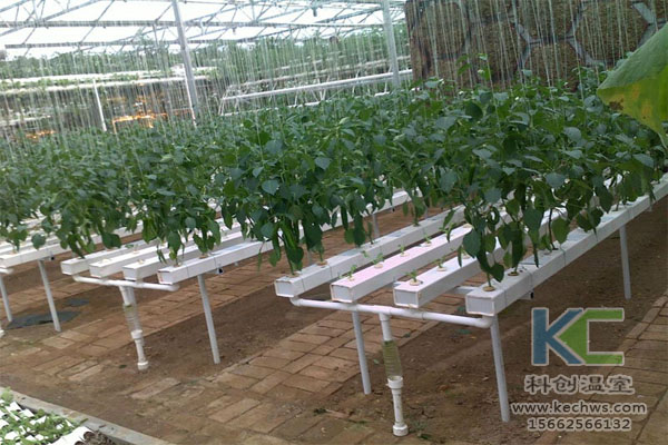 無土栽培，無土栽培技術，無土栽培設備