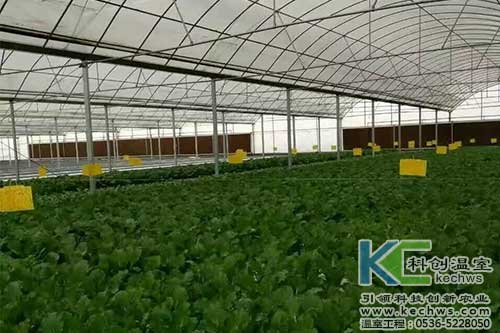 無土栽培，無土栽培技術，無土栽培設備