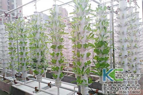 立柱栽培，無土栽培，天空農場