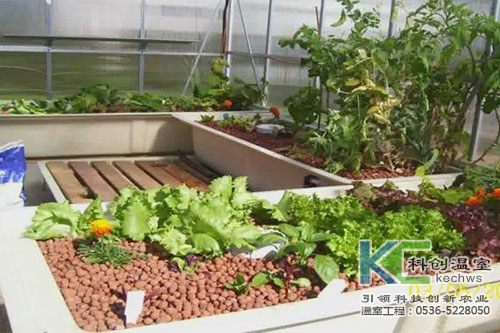 無土栽培，無土栽培技術，無土栽培設備