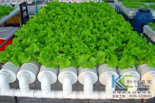 無土栽培，無土栽培技術，無土栽培設備