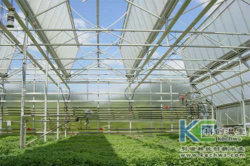 無土栽培，無土栽培技術，無土栽培設備