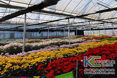 無土栽培，無土栽培技術(shù)，無土栽培設(shè)備