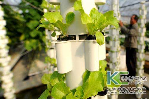 無土栽培，無土栽培技術，無土栽培設備