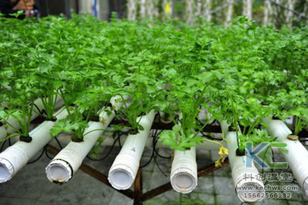 無土栽培，無土栽培技術，無土栽培設備