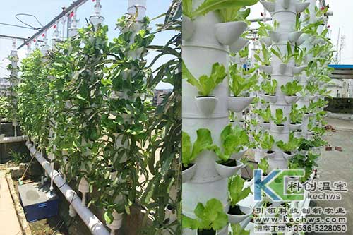 立柱栽培，無土栽培，天空農場