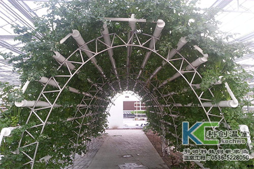 無土栽培，無土栽培技術，無土栽培設備