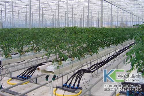 無土栽培，無土栽培技術，無土栽培設備