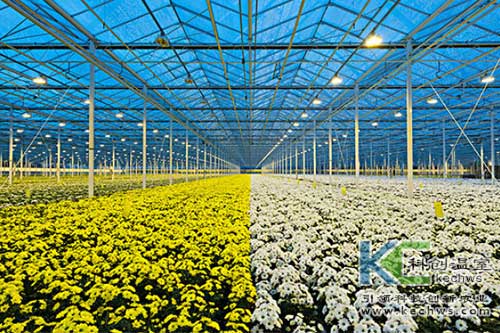 無土栽培，無土栽培技術(shù)，無土栽培設(shè)備