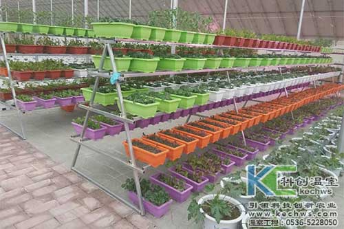 無(wú)土栽培，無(wú)土栽培技術(shù)，無(wú)土栽培設(shè)備