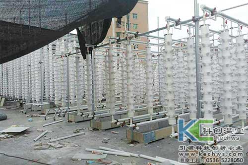 立柱栽培，無土栽培，天空農場