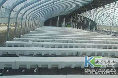 無土栽培，無土栽培技術，無土栽培設備