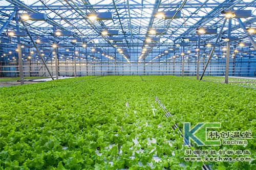 無土栽培，無土栽培技術，無土栽培設備