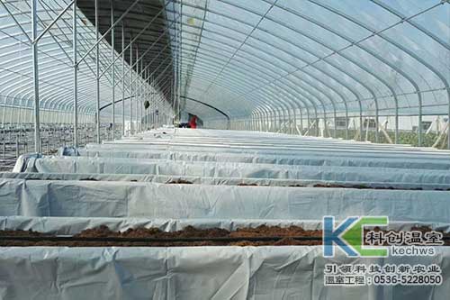 無土栽培，無土栽培技術，無土栽培設備