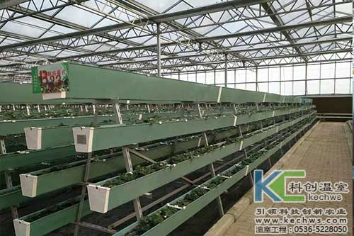 無土栽培，無土栽培技術，無土栽培設備