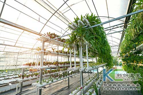 無(wú)土栽培,無(wú)土栽培技術(shù)