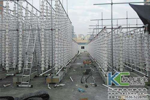 立柱栽培，無土栽培，天空農場