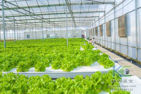 無(wú)土栽培，無(wú)土栽培技術(shù)，無(wú)土栽培設(shè)備