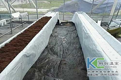 無土栽培，無土栽培技術，無土栽培設備