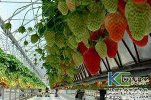 無土栽培，無土栽培技術，無土栽培設備