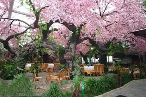 無土栽培，無土栽培技術，無土栽培設備