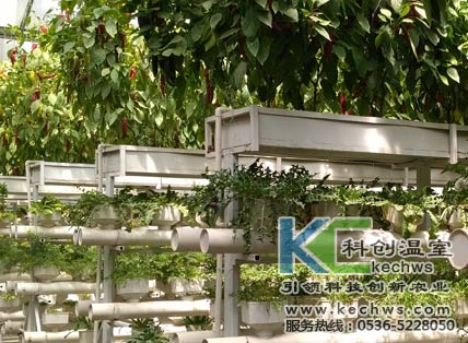 無土栽培，無土栽培技術，無土栽培設備